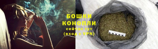 гидра Карпинск
