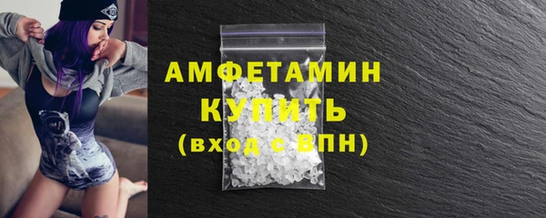 гидра Карпинск