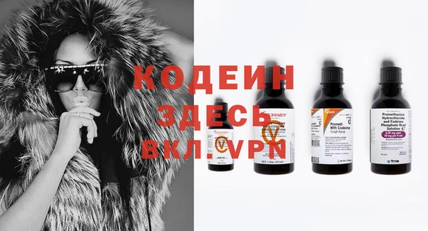 гидра Карпинск