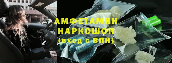 гидра Карпинск