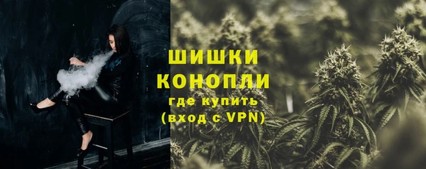 гидра Карпинск