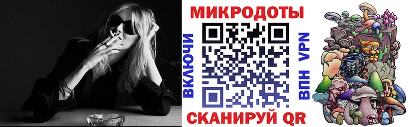 Псилоцибиновые грибы Psilocybine cubensis Купить Стародуб